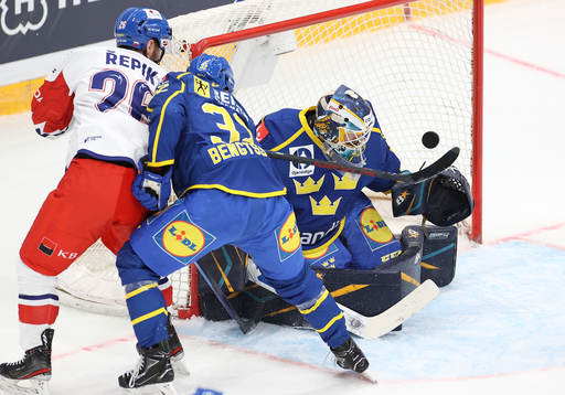 Goalkeeper Magnus Hellberg of Sweden and Michal Rzepik  of