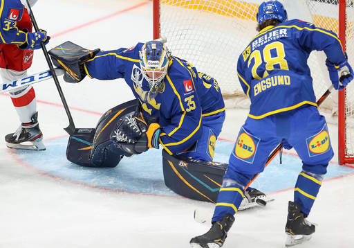 Goalkeeper Magnus Hellberg and Oscar Engsund of Sweden