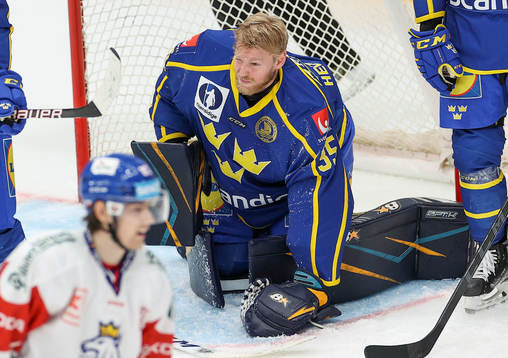 Goalkeeper Magnus Hellberg of Sweden