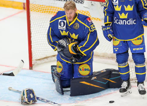 Goalkeeper Magnus Hellberg of Sweden