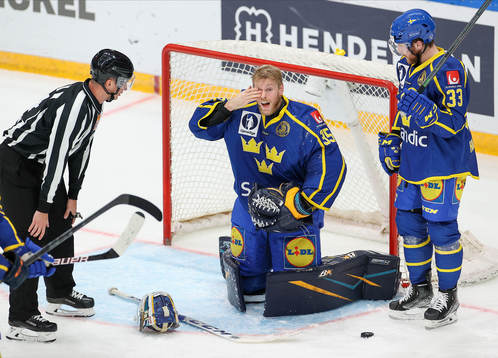 Goalkeeper Magnus Hellberg and Linus Hulström of Sweden