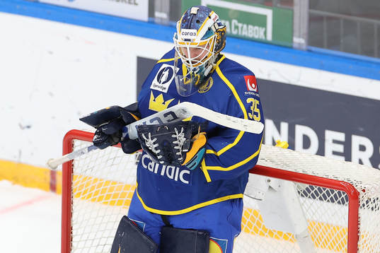 Goalkeeper Magnus Hellberg of Sweden looks dejected