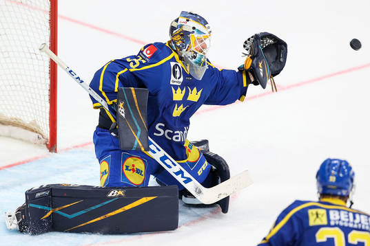 Goalkeeper Magnus Hellberg of Sweden