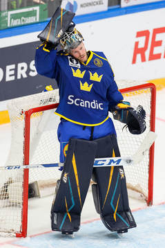 Goalkeeper Magnus Hellberg of Sweden
