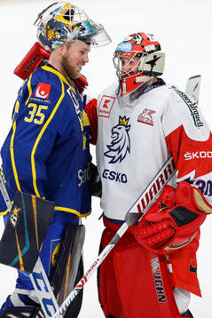 Goalkeeper Magnus Hellberg Sweden and goalkeeper Shimon