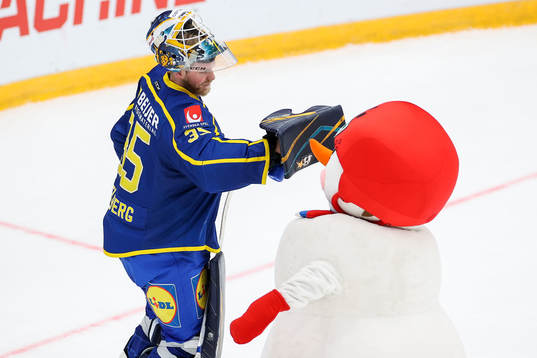 Goalkeeper Magnus Hellberg of Sweden