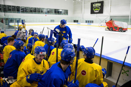 Players of the Swedish under-20 national ice hockey team