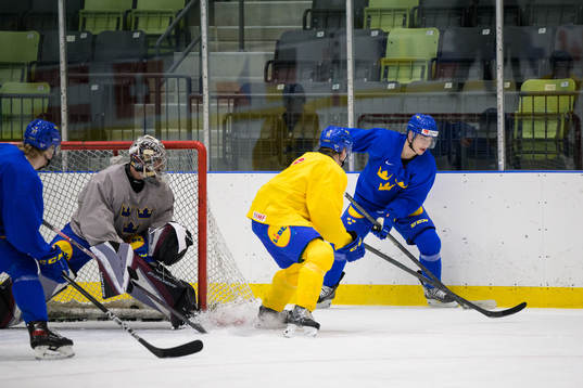 William Eklund of the Swedish under-20 national ice hockey