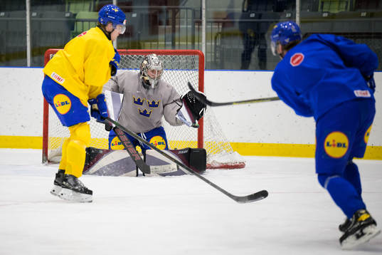 Goaltender Jesper Vikman of the Swedish under-20 national