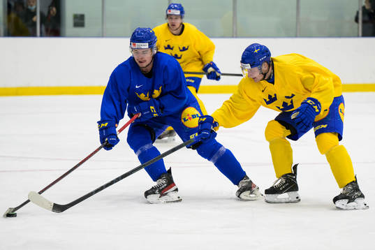 Alexander Holtz and Oskar Magnusson of the Swedish under-20