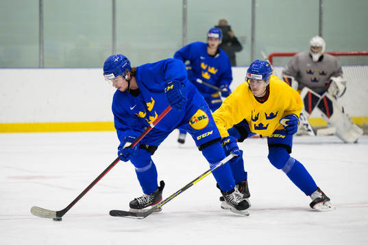 Alexander Holtz and Simon Edvinsson of the Swedish under-20