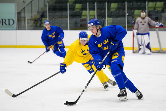 Theodor Niederbach of the Swedish under-20 national ice