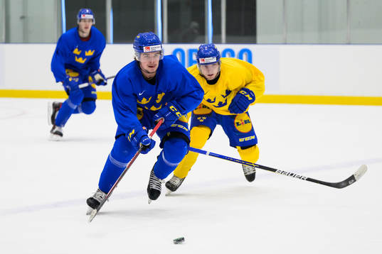 Alexander Holtz and Zion Nybeck of the Swedish under-20