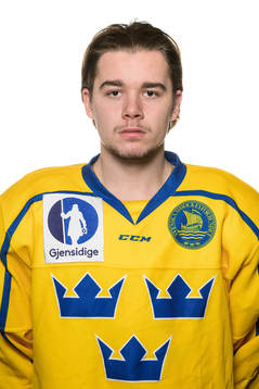 Alexander Holtz of the Swedish under-20 national ice hockey
