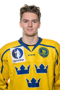 Helge Grans of the Swedish under-20 national ice hockey