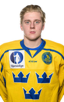 Bläddra bland fler bilder av Ice Hockey, U20, Sweden, portraits
