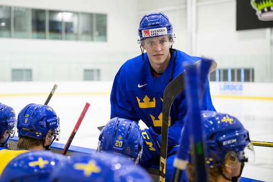 Simon Edvinsson of the Swedish under-20 national ice hockey