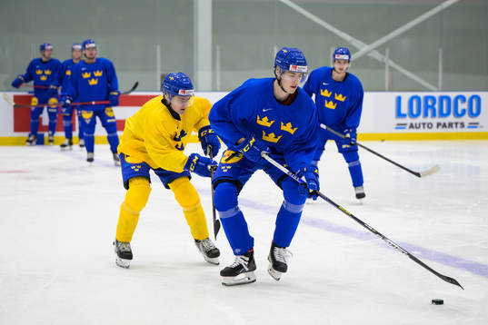 Joel Nyström and Simon Edvinsson of the Swedish under-20