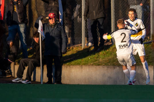 AIKs Victor Andersson jublar