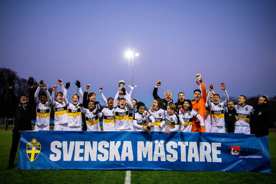 AIKs spelare jublar