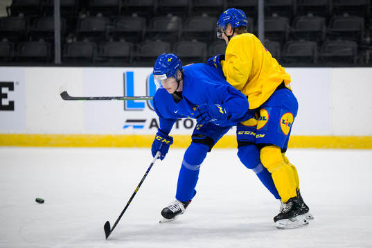 Simon Edvinsson and Elliot Ekmark of the Swedish under-20