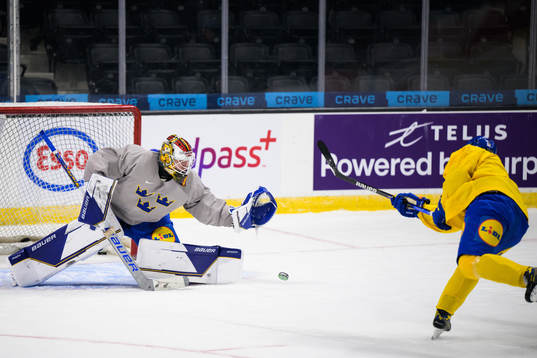 Goaltender Jesper Wallstedt and Victor Sjöholm of the