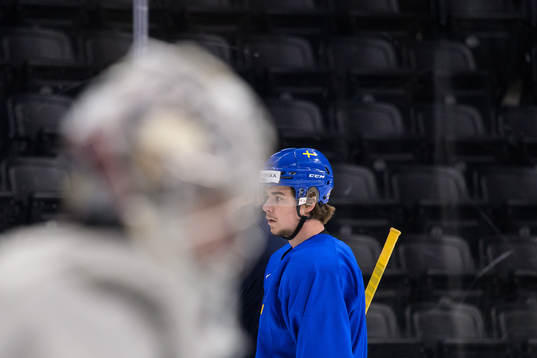 Alexander Holtz of the Swedish under-20 national ice hockey