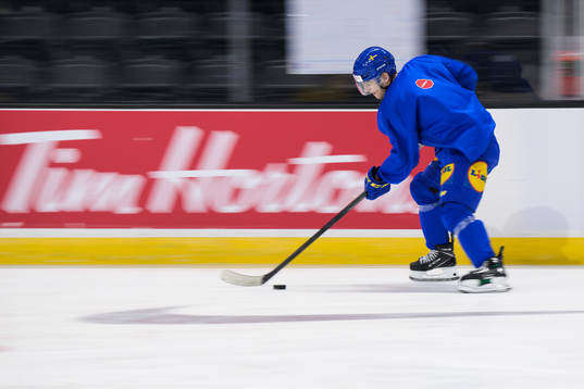 William Eklund of the Swedish under-20 national ice hockey
