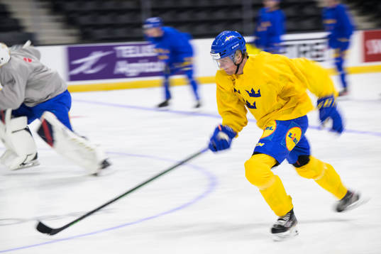 Måns Forsfjäll of the Swedish under-20 national ice