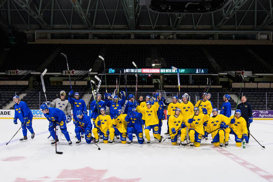 Players of the Swedish under-20 national ice hockey team