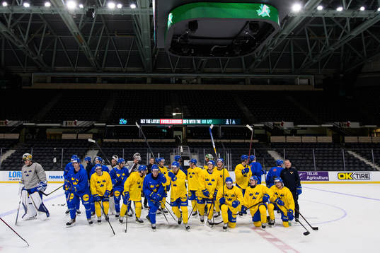 Players of the Swedish under-20 national ice hockey team