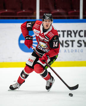 Malmö Redhawks Carl-Johan Lerby