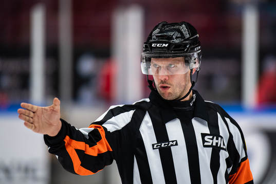 Domare Johan Magnusson