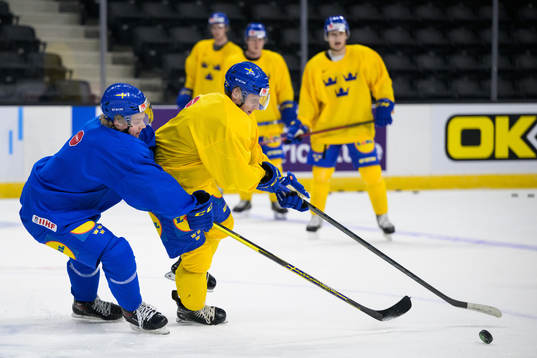 Theodor Niederbach and Oskar Magnusson of the Swedish