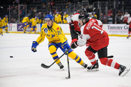 Albert Sjöberg of Sweden and Mark Mussbacher of Austria