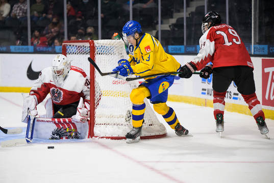 Goaltender Sebastian Wraneschitz and Marco Kasper of