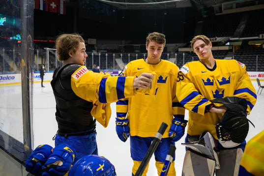Alexander Holtz, Daniel Torgersson and goaltender Jesper
