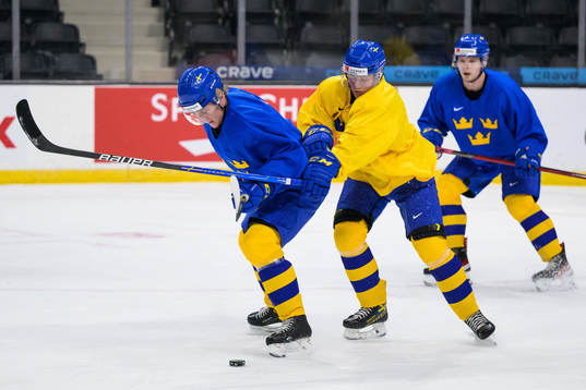 Emil Andrae and Victor Sjöholm of Sweden at a training