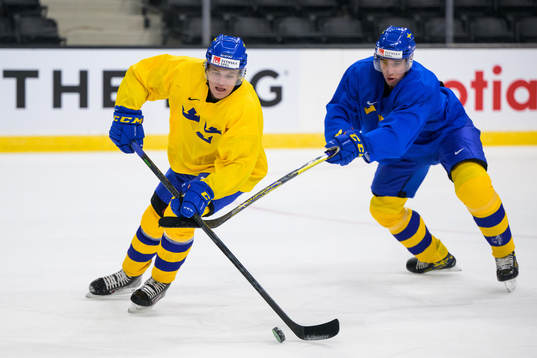Måns Forsfjäll and Daniel Torgersson of Sweden at a