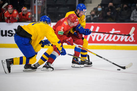 Simon Edvinsson and Leo Lööf of Sweden are being