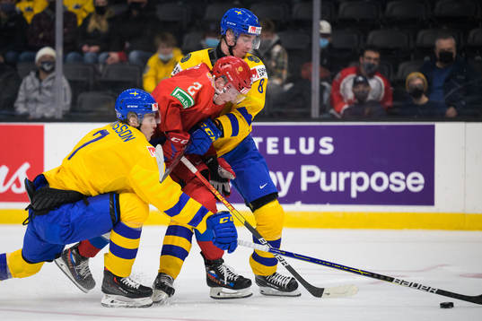 Simon Edvinsson and Leo Lööf of Sweden are being