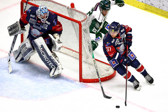 Linköpings Jesper Pettersson