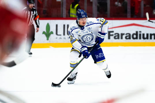 Leksands Erik Hedlund