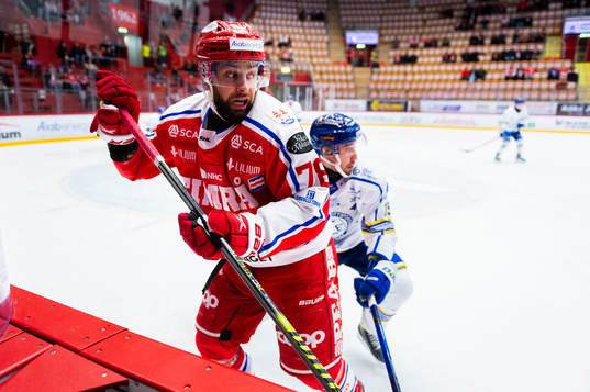 Timrås Robin Hanzl