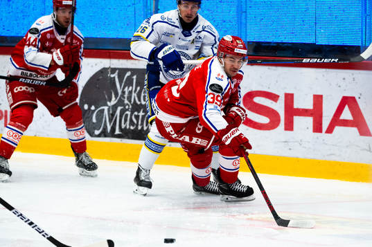 Timrås Ty Rattie