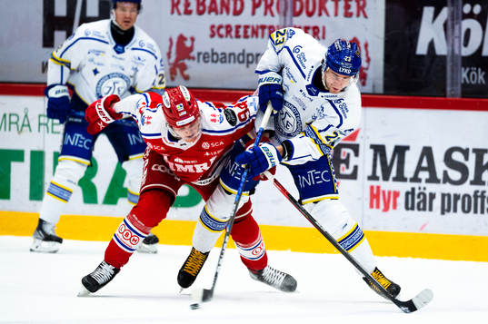 Timrås Sebastian Hartmann och Leksands Mikael Ruohomaa