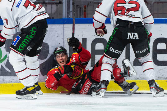 Luleås Joonas Rask