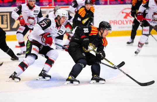 Brynäs Dmytro Timashov