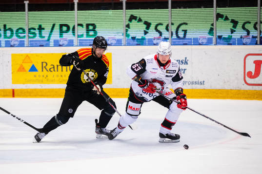 Brynäs Emil Molin och Malmö Redhawks Fredrik Händemark