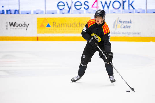 Brynäs Tom Hedberg